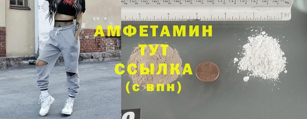 крисы Осинники