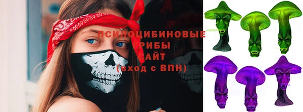 spice Переславль-Залесский