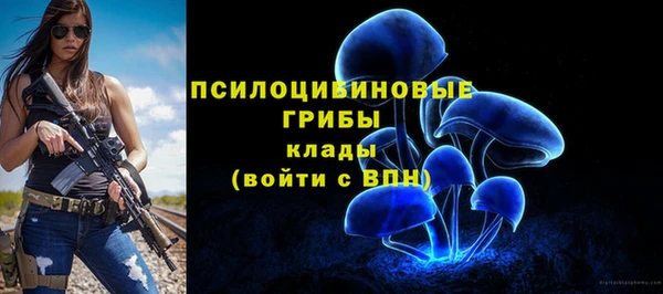 крисы Осинники