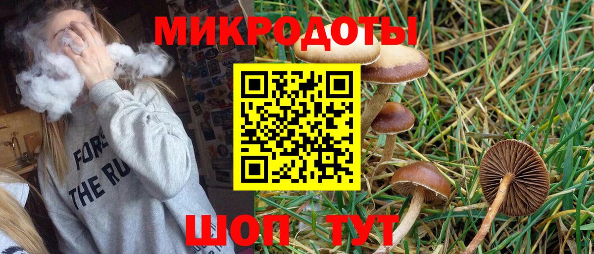 Галлюциногенные грибы MAGIC MUSHROOMS Петрозаводск